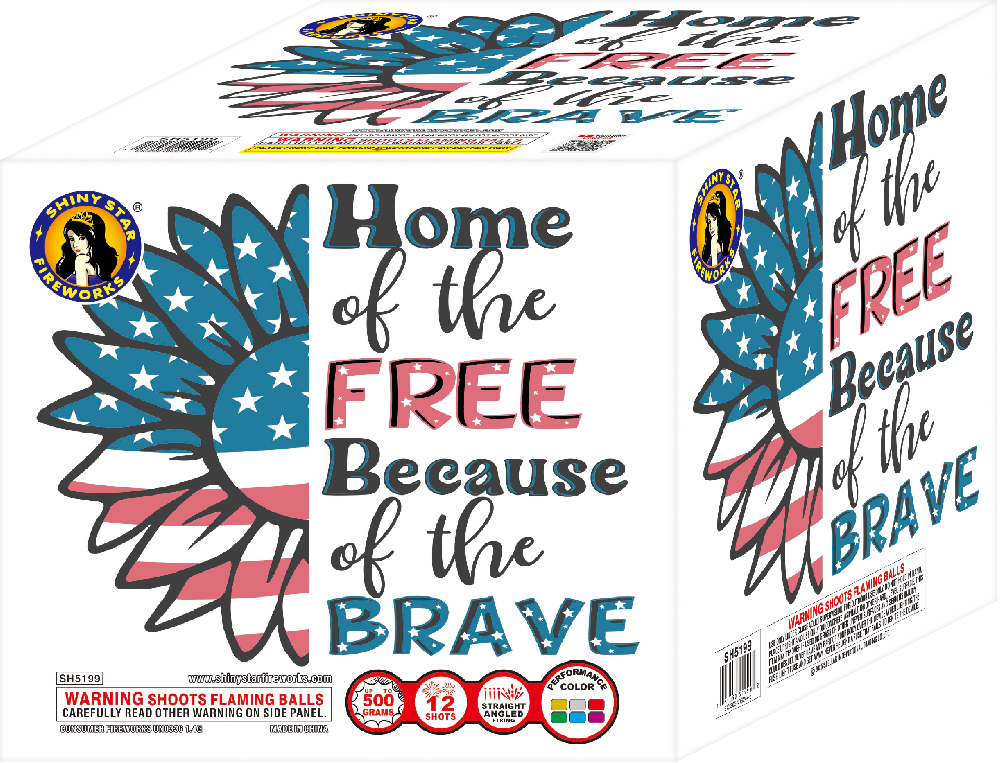 HOME OF THE FREE BECAUSE OF THE BRAVE